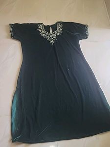 Elegant Velvet Gown with Embroidery