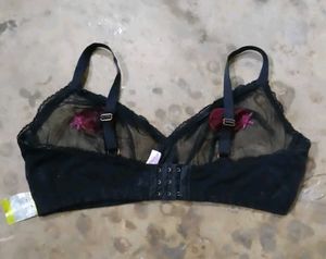 Sheer Black Bra