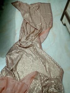 Beautiful Pure Sequence Saree