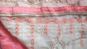 a beautiful saree