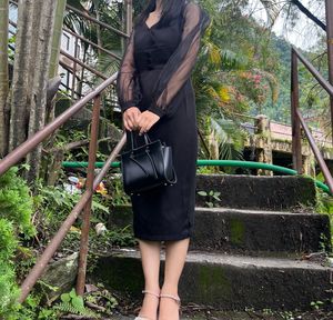 Elegant Black Dress with Sheer Sleeves