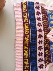 Looney Tunes Knit Vest