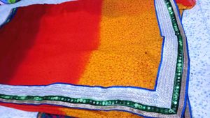 Elegant saree