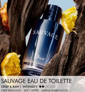 Sauvage Dior Eau de Toilette