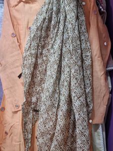 Long Full Sleeve Gown