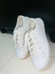 Classic White Canvas Sneakers 🤍