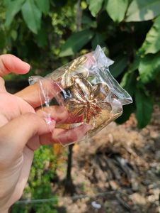ANTI TARNISH FLOWER BRACELET -HIGH QUALITY