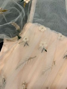 Peach Embroidered Tulle Dress