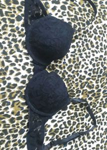Branded Lace Push Up Bra Ultrablack 32 A