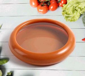 🆕️ Vegetable Storage Container