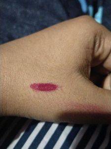 Powerkiss Vegan Matte Lipcolor( water proof long-l