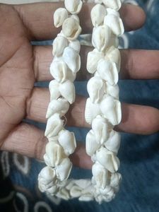 Unique Seashell Necklace