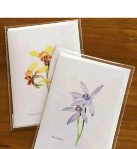 Transparent Zip Lock Plastic Pouches