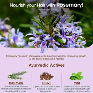 T.A.C. Rosemary Anti-Hair Fall Conditioner