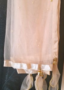 "Pinterest Peach Net Dupatta with Pearl Beads"