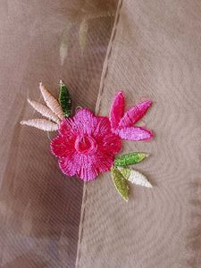 Embroidered Organza Saree