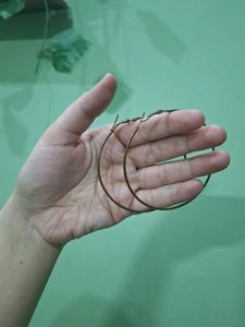 Large Hoop Earrings
