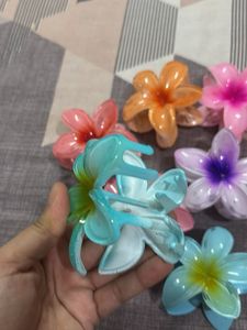 Pinterest Hair Clips Set Of 7