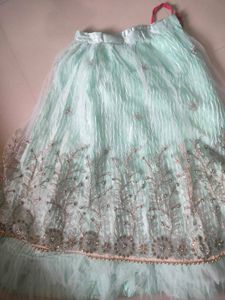 Beautiful Mint Green Embellished Lehenga Skirt