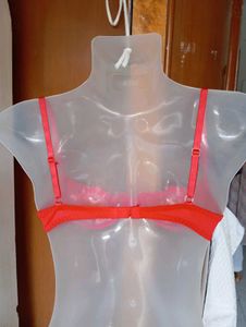 Lace Sheer Underwire Bra