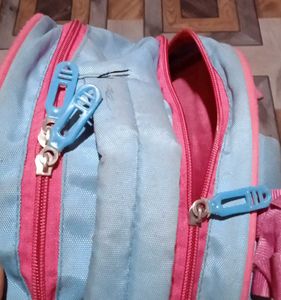 Frozen School bag with free bottlefor Kids