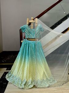 Beautiful Embroidered Designer lehngha choli