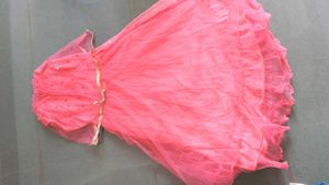 Beautiful Coral Ethnic Gown