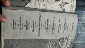 Demon Slayer: Kimetsu no Yaiba Vol. 19