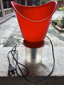 Facial Steamer for Sinus Relief