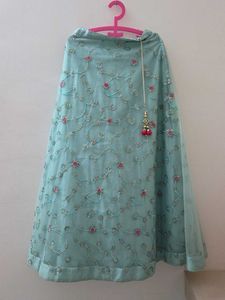 Beautiful Sky Blue Embroidered Skirt