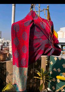 Luxury Pure Pashima Stole