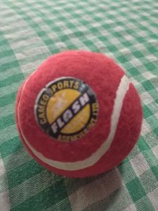 Cricket Bat + Free FlashTennis Ball