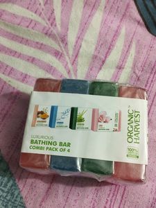 Bathing Bar