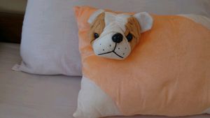Cute Small Pillow