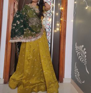 Embroidered Lehenga Choli Set