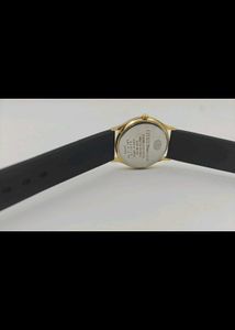 Citizen Parrot Royale