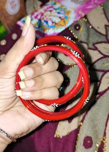 Beautiful Red Bengals ...