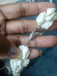 Unique Seashell Necklace