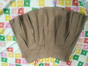 Pleated Brown Skirt