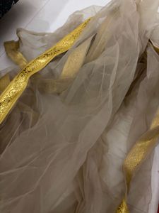 Elegant Dupatta with Gold Border