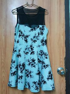 Floral Print Fit & Flare Dress