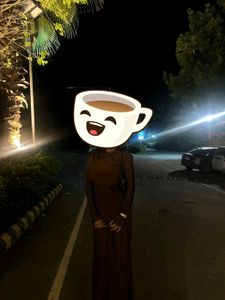 Elegant Brown Maxi Dress