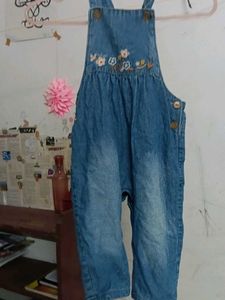 Cute Denim Overalls with Embroidery