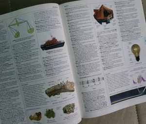 Dictionary