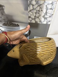 Cute Hedgehog Ceramic Planter