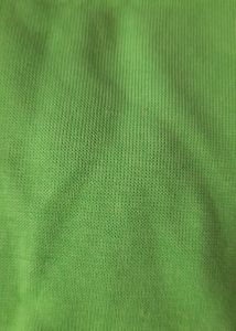 Green Crop Top