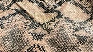 Baggit tote bags