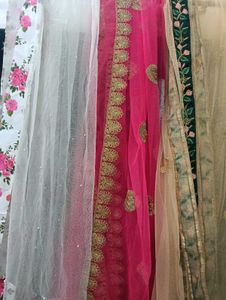 Embroidered Net Dupattas