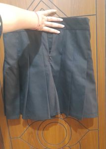 Pleated Mini Skirt