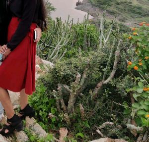 Burgundy A-Line Midi Skirt